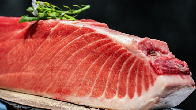 Conheça o atum bluefin, cobiçado peixe que é o mais caro do mundo