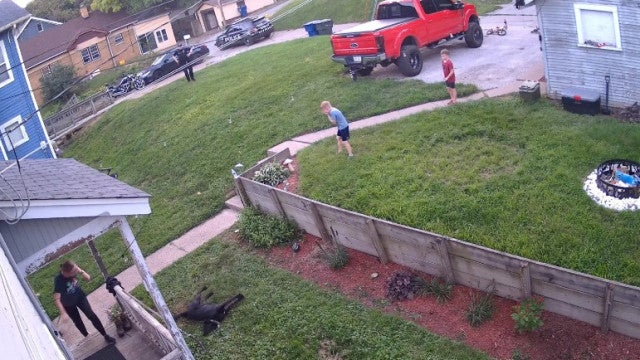 Vídeo viral mostra policial matando cachorro de família em cena dramática