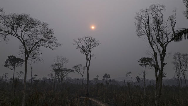 Brasil registra mais focos de incêndio que em todo ano de 2023