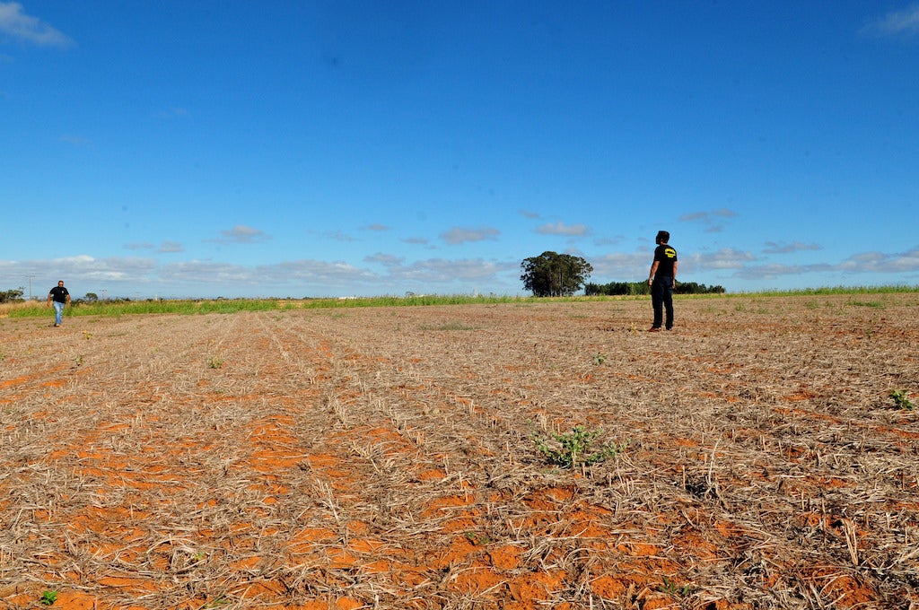 Chuvas este mês e outubro em MT devem ficar abaixo da média e plantio de soja pode atrasar, prevê IMEA