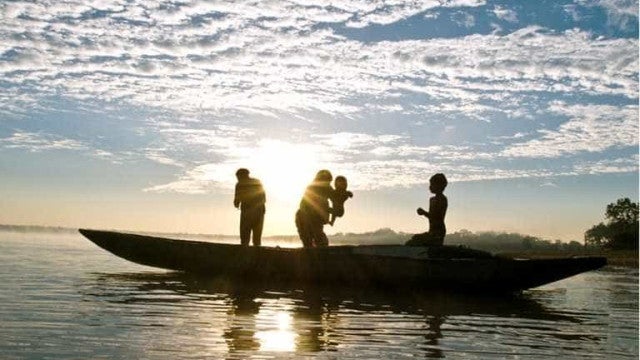 Brasil é o segundo país que mais matou defensores ambientais em 2023, aponta ONG