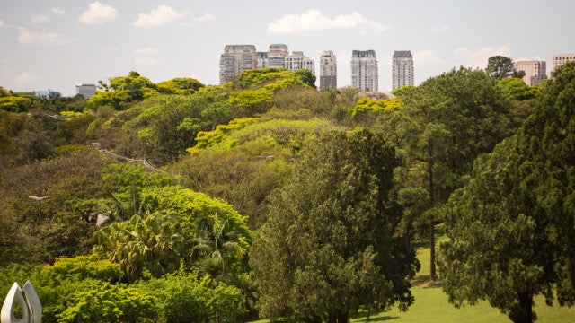 Uma pausa para a secura e as queimadas: chegou a Primavera