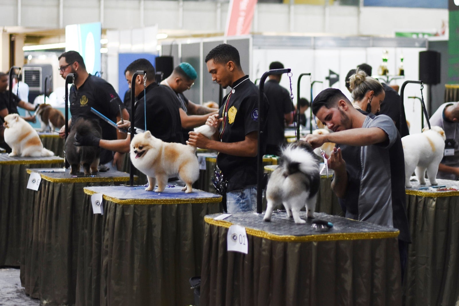 Petnor se consolida como maior feira voltada para o mercado pet e veterinário do Norte e Nordeste
