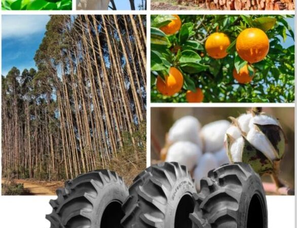 Pneu versátil é opção eficiente para trabalhos pesados no campo