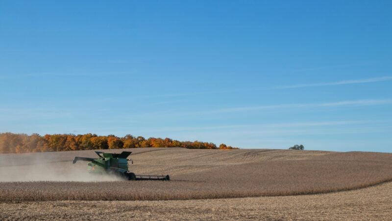 Empresas do agro têm oportunidade para crescer com aceleradora