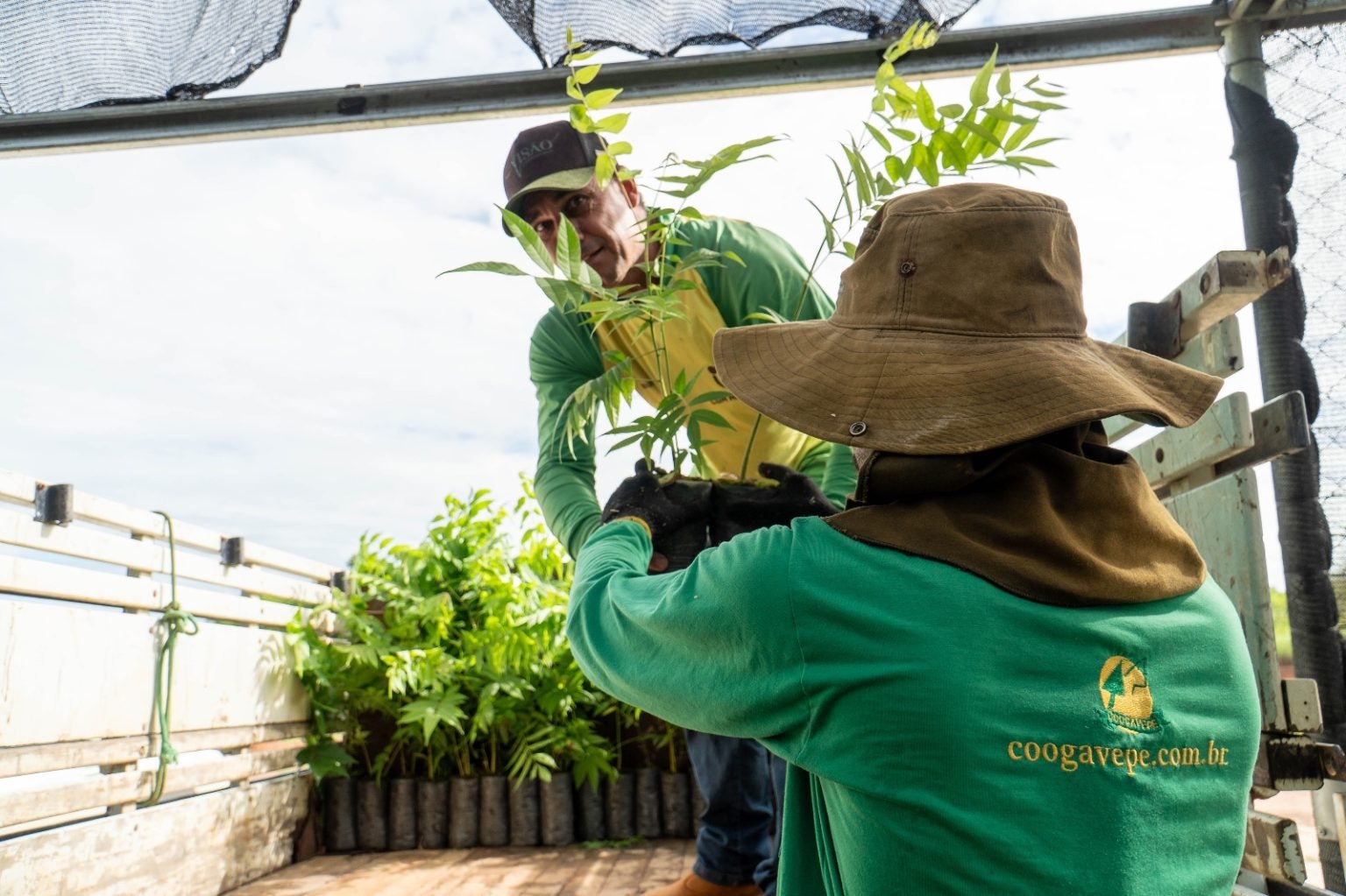 Coogavepe doa 1000 mudas para cooperativa no Pará em ação de recuperação ambiental