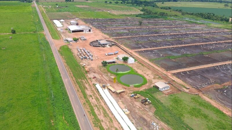 TJMT reconhece recurso da Amaggi, autoriza arresto de milho, gerando prejuízos à Ramax e aos animais