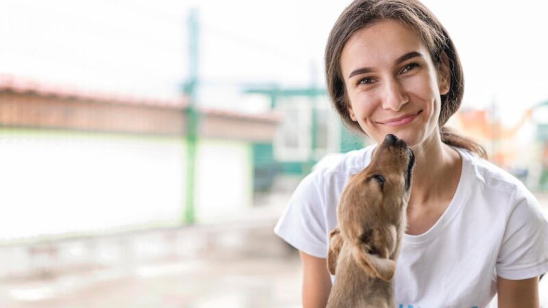 Janeiro Branco: a importância dos animais de estimação para o bem-estar emocional