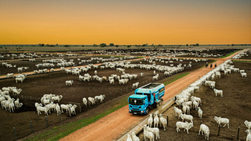 Do desafio às oportunidades: Saiba quais são as estratégias para um ano transformador no campo