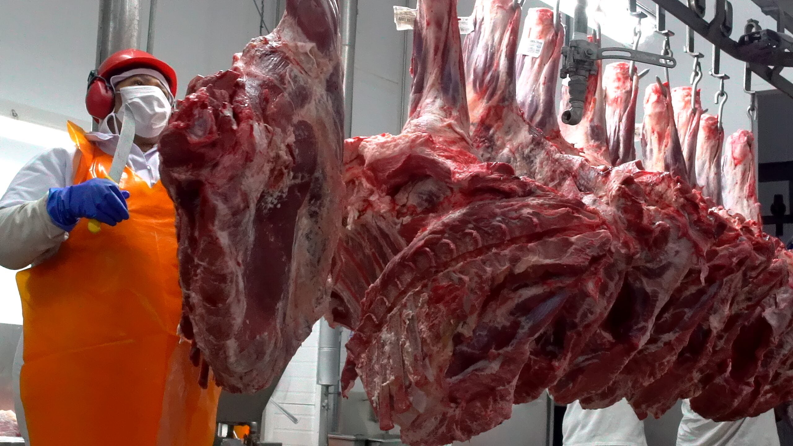 RAMAX-Group transforma pequenos e médios produtores brasileiros em players globais de carne