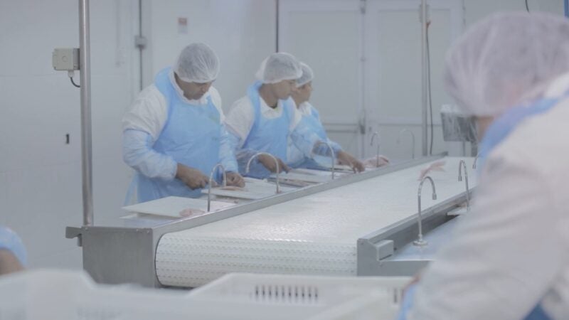 Oportunidades de trabalho: Frigorífico Saciatta oferece 40 vagas em MT