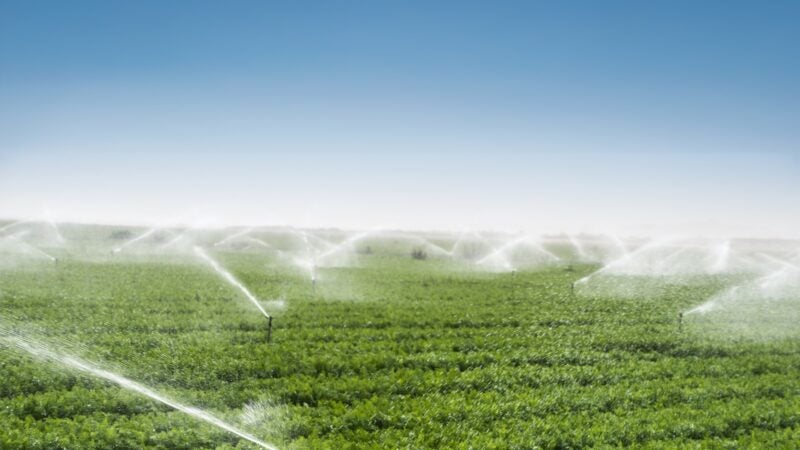 Multinacional israelense firma parceria com a Cocamar para ampliar oferta de irrigação