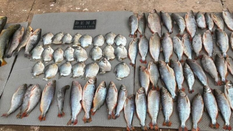 Polícia Civil e Sema combatem pesca ilegal e prendem um pescador em flagrante
