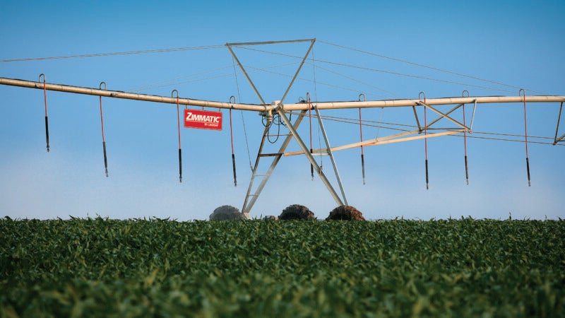 Com auxílio da irrigação, agricultor bate recorde de produtividade no milho