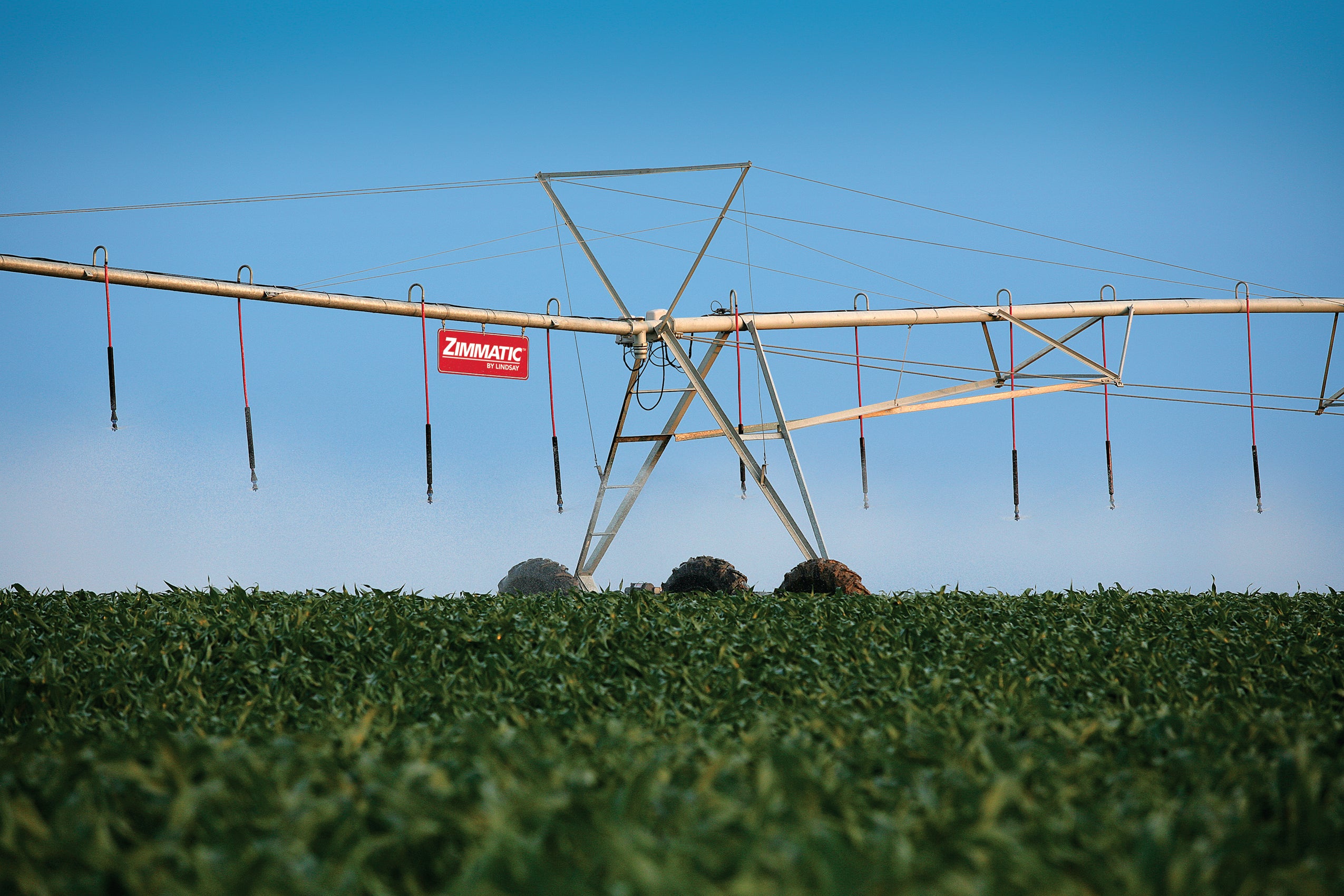 Com auxílio da irrigação, agricultor bate recorde de produtividade no milho
