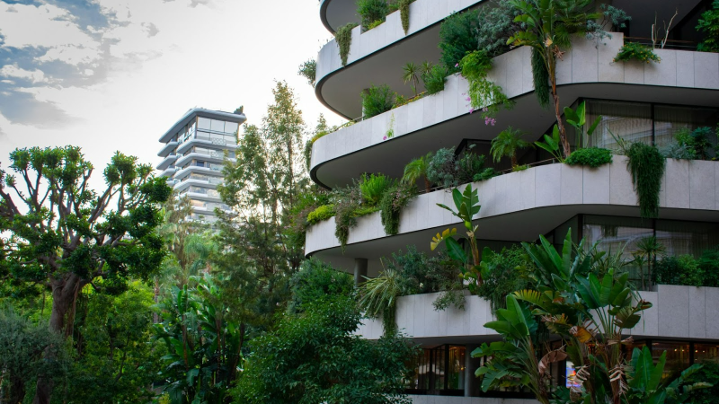 Educação ambiental na arquitetura e urbanismo pode mitigar impactos causados pelas chuvas