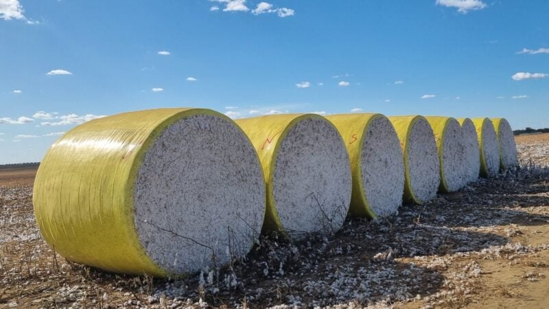 Novo filme para enfardar algodão será destaque na AgroRosário