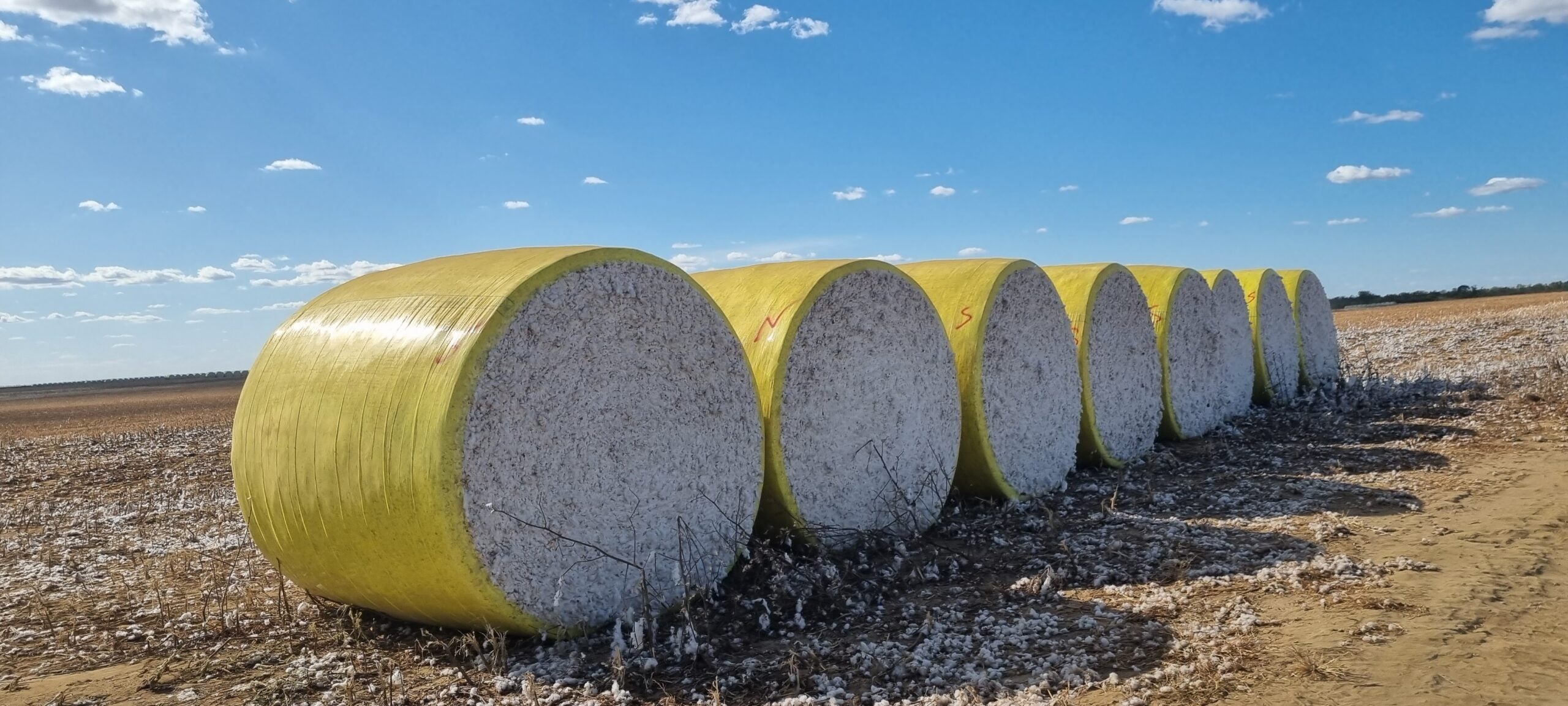 Novo filme para enfardar algodão será destaque na AgroRosário