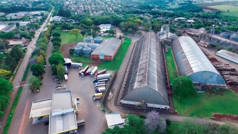 Inovação é a tendência para as cooperativas agrícolas em 2025