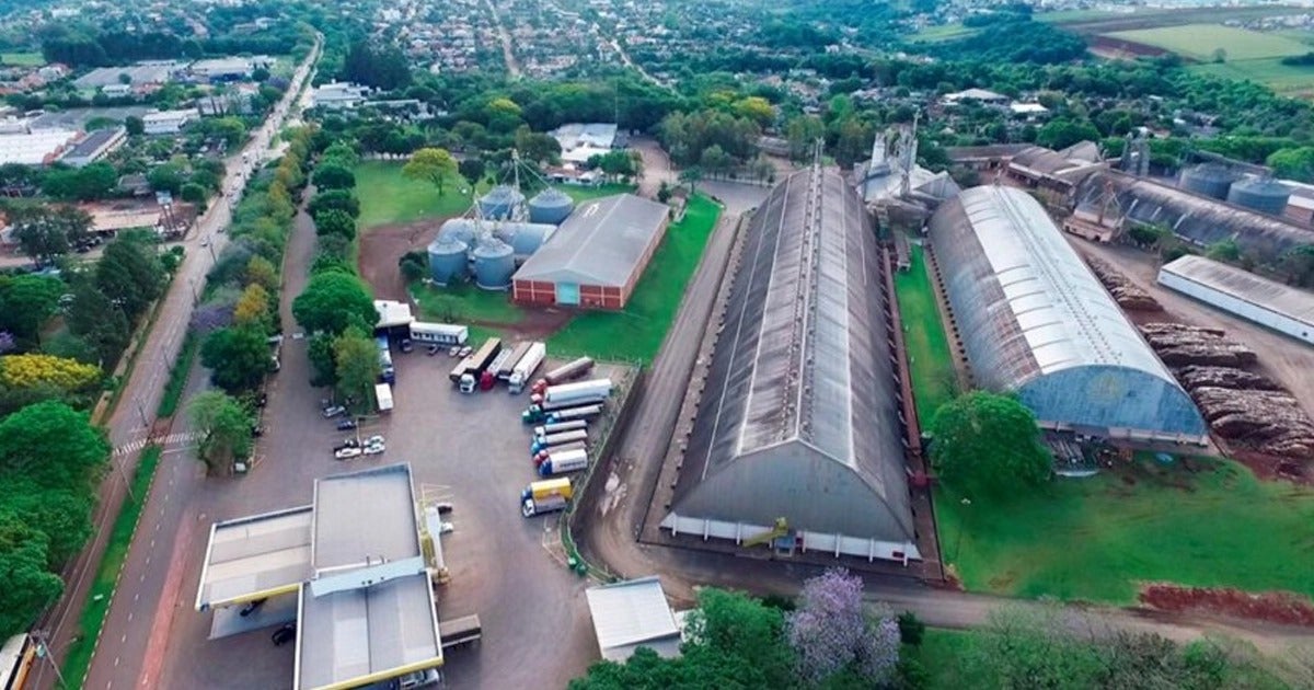 Inovação é a tendência para as cooperativas agrícolas em 2025