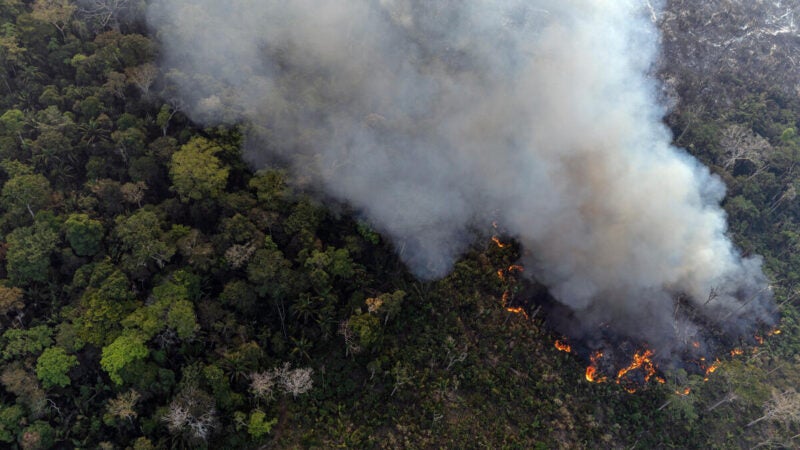 Dados de desmatamento e focos de calor na BR-319 mostram cenário complexo, com desafios e oportunidades de ação do poder público, aponta estudo