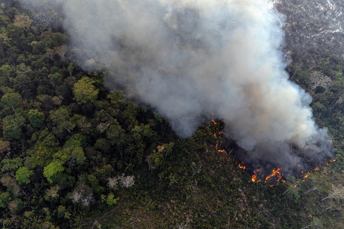 Dados de desmatamento e focos de calor na BR-319 mostram cenário complexo, com desafios e oportunidades de ação do poder público, aponta estudo