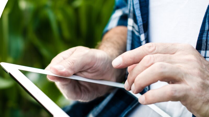 Plataforma com IA avançada leva pesquisas de campo a um novo patamar tecnológico