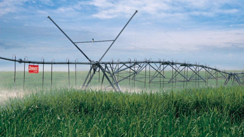 Gestão da água ao longo do ciclo é o segredo para alta produtividade do canavial