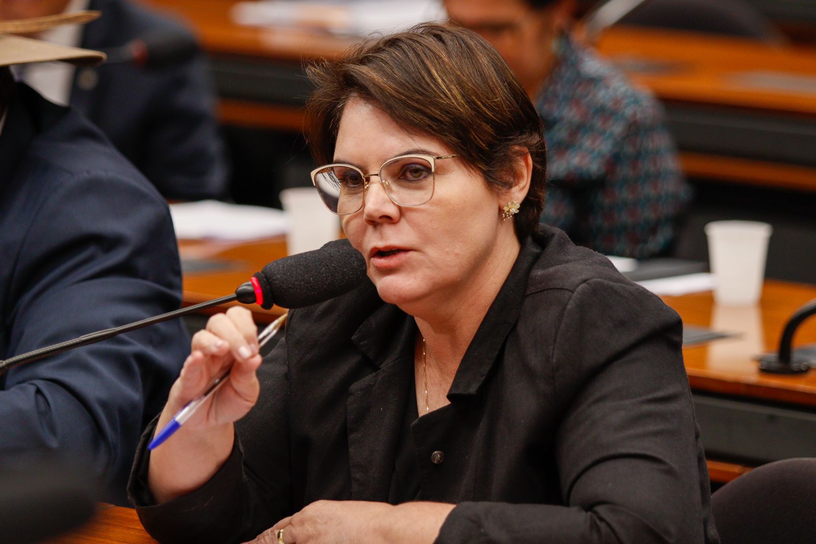 Deputada Coronel Fernanda rechaça ação de ONGs contra o fim da Moratória da Soja