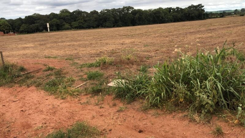 Propriedade rural vai a leilão em Ponta Porã (MS) com lances a partir de R$ 3,5 milhões