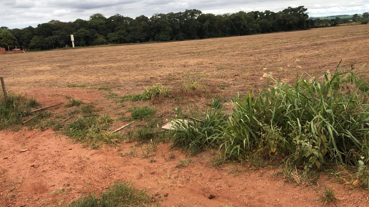 Propriedade rural vai a leilão em Ponta Porã (MS) com lances a partir de R$ 3,5 milhões