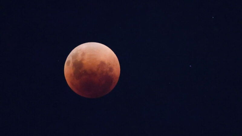 Eclipse total da Lua na madrugada de 14 de março