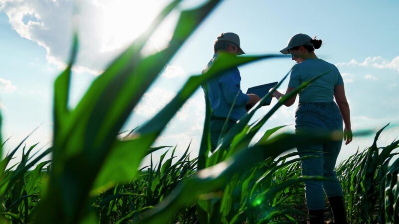 Classe agrícola precisa se atentar ao prazo de entrega do Livro Caixa Digital do Produtor Rural 2025