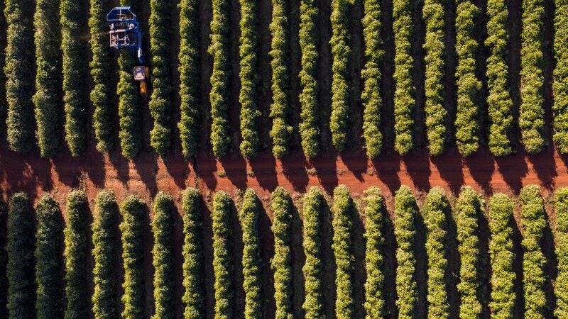 Motores elétricos impulsionam a produção cafeeira no Brasil