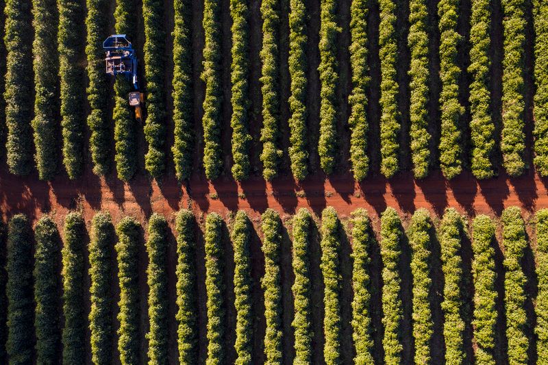 Motores elétricos impulsionam a produção cafeeira no Brasil