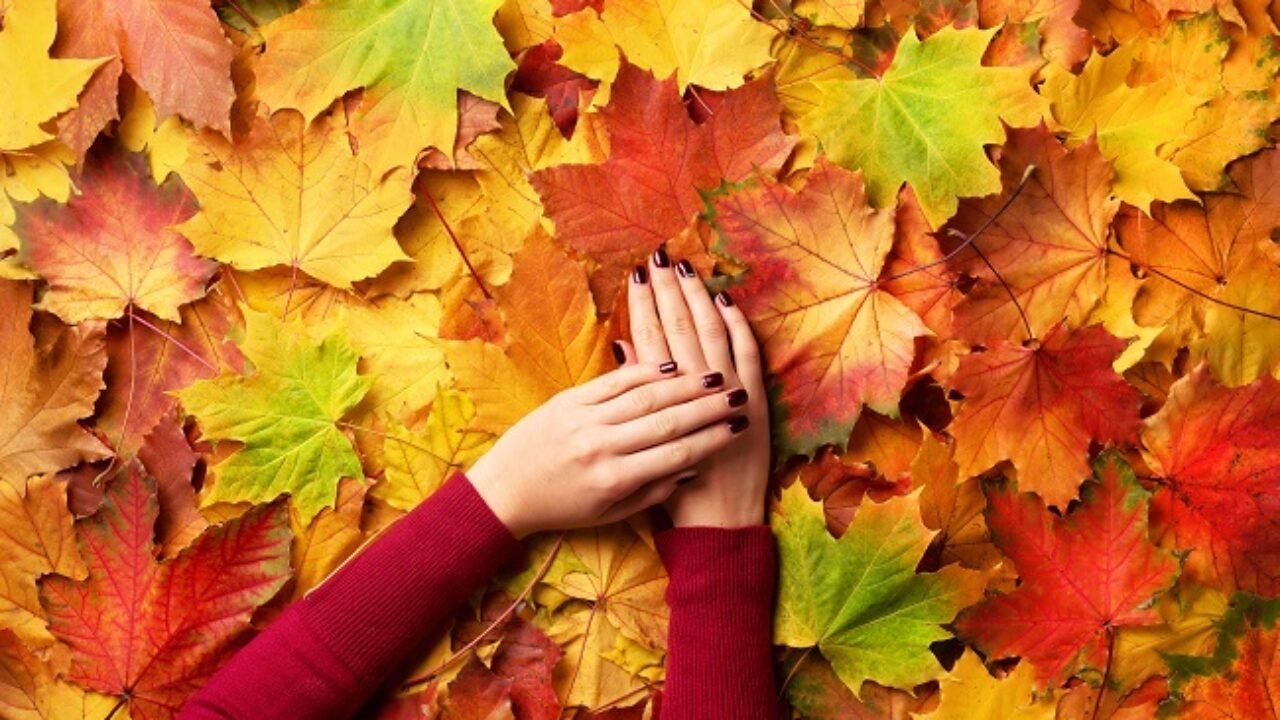 Saiba dicas de como manter a pele saudável no outono