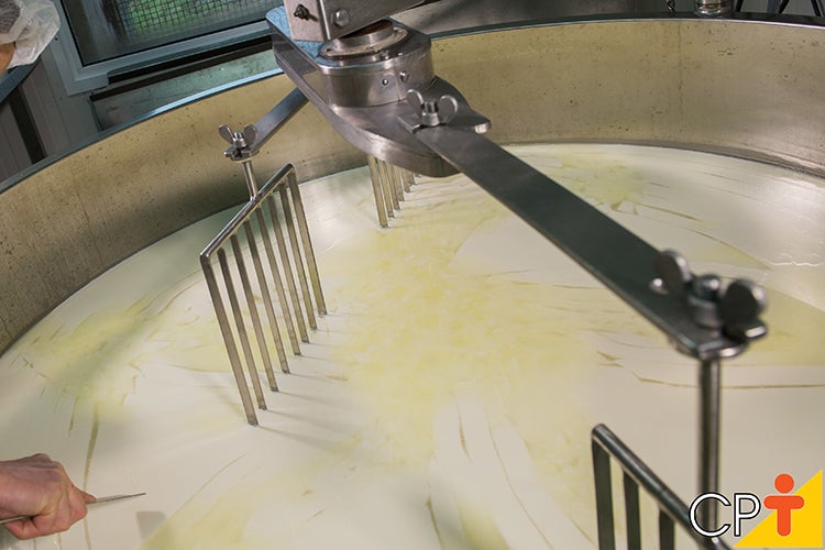 Wilson Santos articula apoio da Seaf para regularizar a produção de derivados do leite