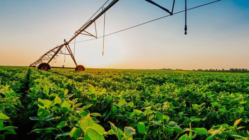 Os desafios da energia elétrica na instalação de pivôs de irrigação