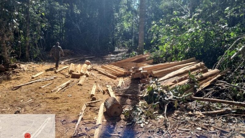 Polícia Civil prende três homens, destrói acampamentos e apreende motosserra em estação ecológica do Estado