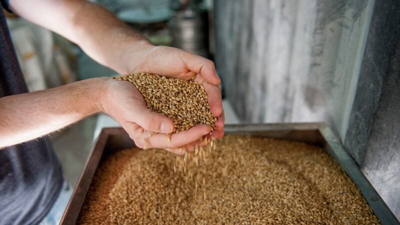 IA avançada ajuda a garantir a qualidade da cerveja brasileira