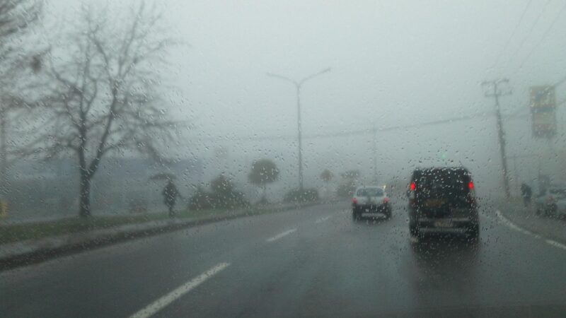 Cuidados essenciais ao dirigir no outono sob condições de neblina