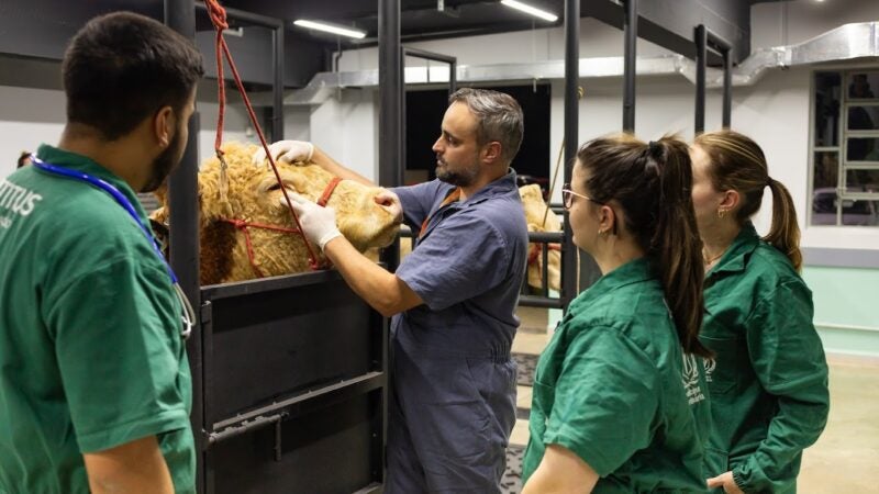 Bahia poderá receber nova unidade de Escola de Agronegócio