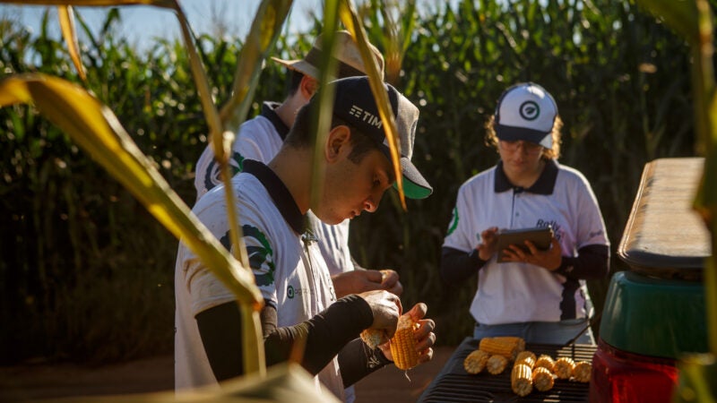 Mato Grosso, Mato Grosso do Sul e Goiás recebem técnicos do Rally da Safra para avaliar milho segunda safra