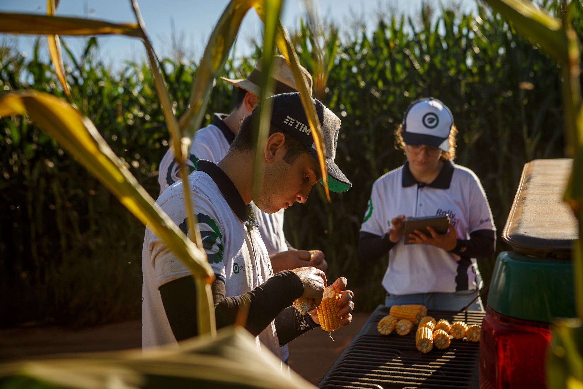 Mato Grosso, Mato Grosso do Sul e Goiás recebem técnicos do Rally da Safra para avaliar milho segunda safra