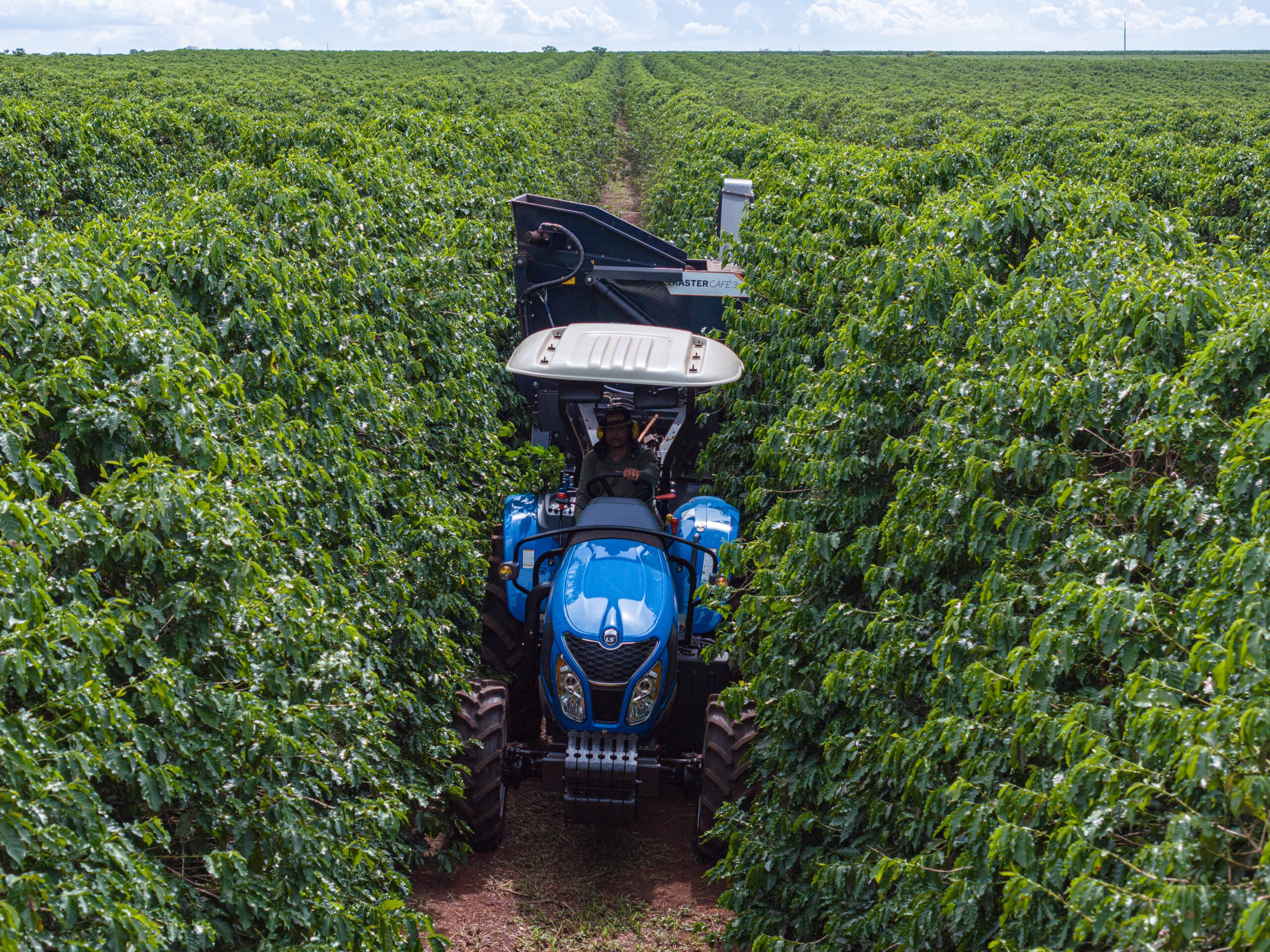 Mecanização ajuda cafeicultura mineira a enfrentar desafios