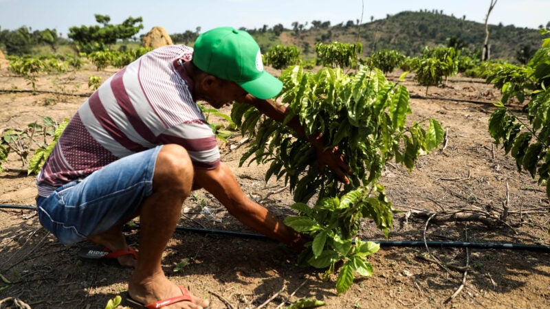 Governo do Estado avança na implementação do programa MT Produtivo com foco na agricultura familiar sustentável