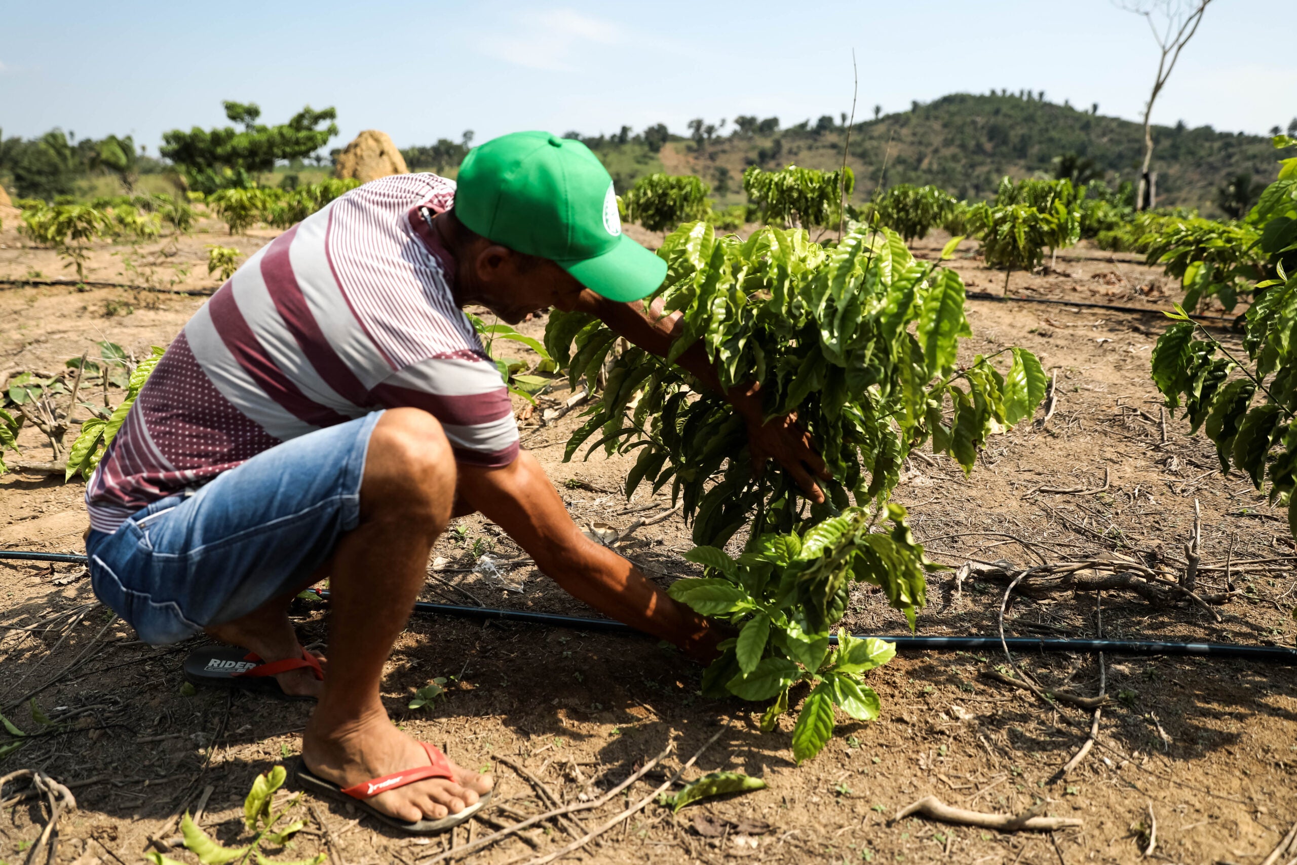 Governo do Estado avança na implementação do programa MT Produtivo com foco na agricultura familiar sustentável