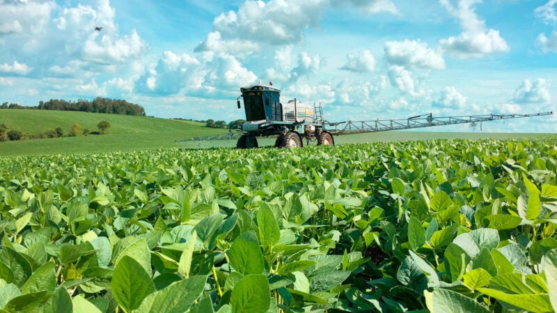 Agricultura piauiense pode ter salto de eficiência com adjuvantes de alta tecnologia