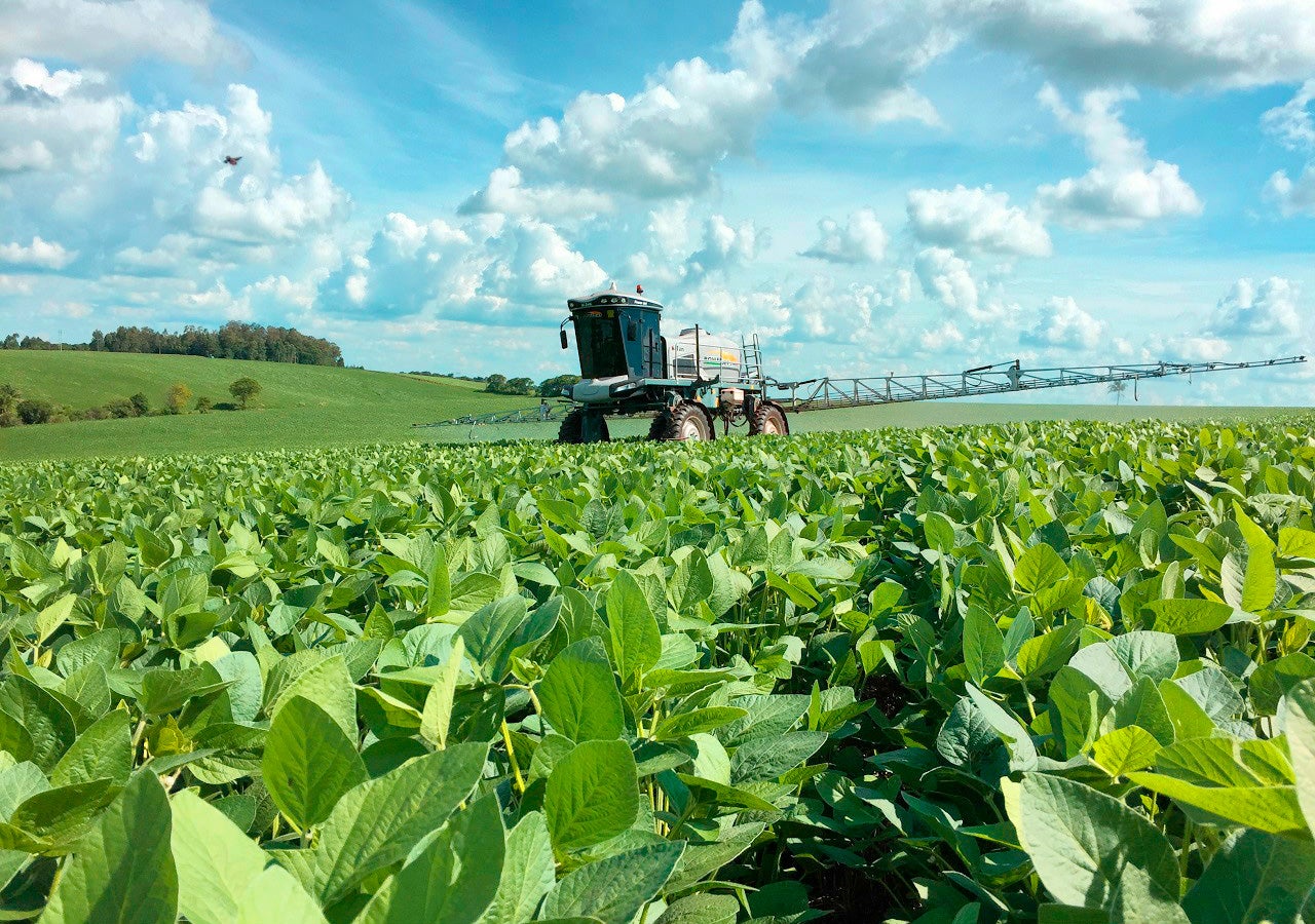 Agricultura piauiense pode ter salto de eficiência com adjuvantes de alta tecnologia