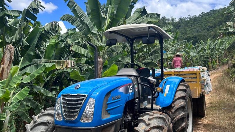 Produtores de banana do Vale do Ribeira poderão ver de perto as novas tecnologias para a cultura
